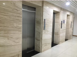 đá ốp thang máy