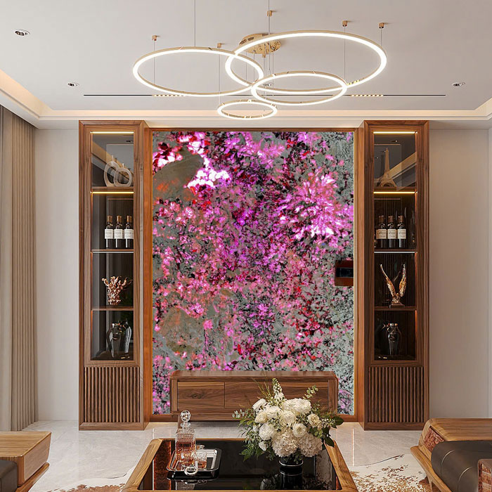 tranh da xuyen sang cho biet thu cao cap 1