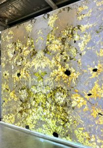 gia-tranh-da-xuyen-sang-tu-nhien